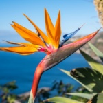 Séjour détente sur le jardin de l&rsquo;Atlantique