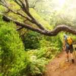 Traversée de Madère en trek