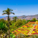 Jardin Botanique à Funchal Madère